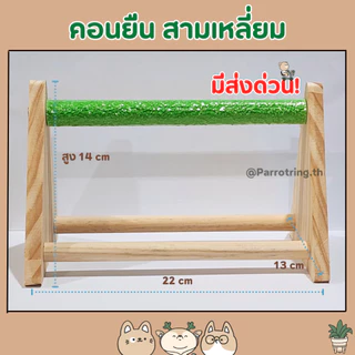 คอนยืนลับเล็บนกแก้ว คอนยืนสามเหลี่ยม คละสี