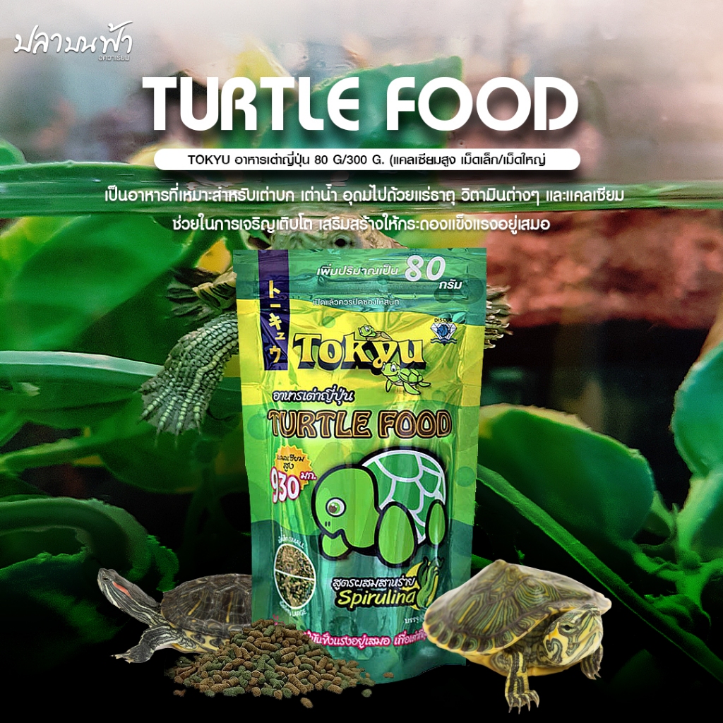 อาหารเต่า Tokyu Turtle food ขนาด 80 กรัม และ 300 กรัม เหมาะสำหรับเต่า อุดมด้วยแร่ธาตุ วิตามิน และแคลเซียม