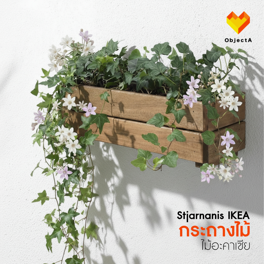 IKEA กระถางไม้ระแนง 43x15x14 ยึดผนังได้ STJARNANIS
