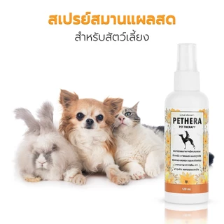สเปรย์พ่นสมานแผล สเปรย์แผลสด สุนัข แมว Pethera pet therapy สารสกัดจากธรรมชาติ ช่วยสมานแผล ป้องกันแบคทีเรีย