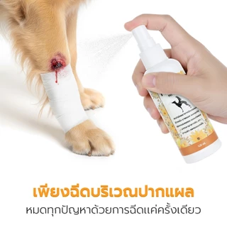 สเปรย์พ่นสมานแผล สเปรย์แผลสด สุนัข แมว Pethera pet therapy สารสกัดจากธรรมชาติ ช่วยสมานแผล ป้องกันแบคทีเรีย