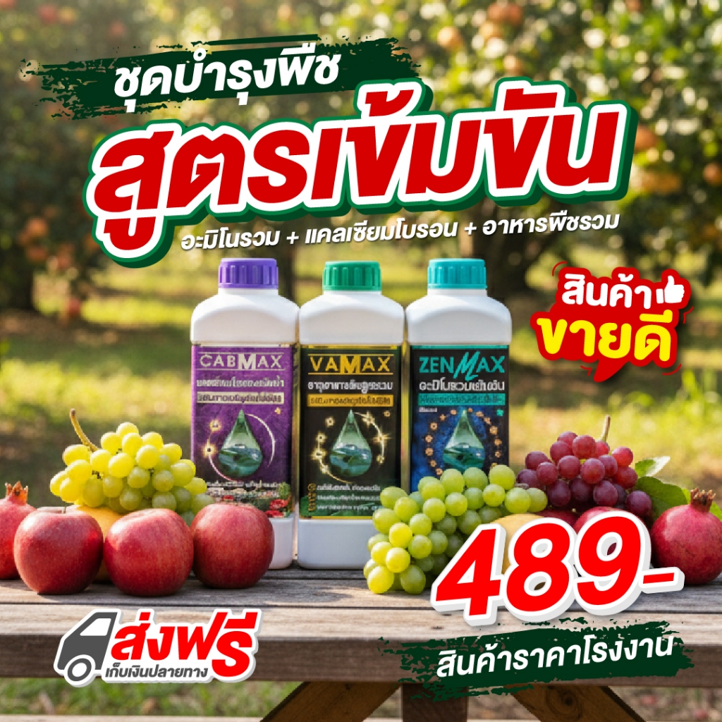 ชุดบำรุงพืชสูตรเข้มข้น ZENMAX +VAMAX + CABMAX