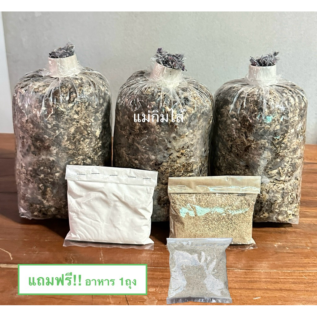 ชุดเพาะเห็ดฟาง เชื้อ3ก้อน +อาหาร2 +แป้ง1 +คู่มือ