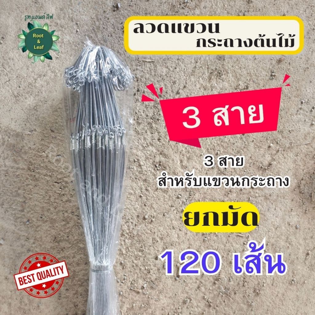 ลวดแขวนกระถางต้นไม้ 3 สาย แบบยกมัด จำนวน 120 เส้น ลวดอย่างดี แข็งแรงทนทานลวดแขวนกระถาง แขวนกระเช้า คุณภาพเกรดดี