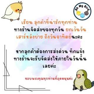 ดอกบานไม่รู้โรยอบแห้ง คัดดอกใหญ่ เกรด AA