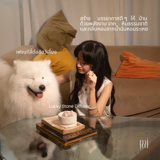 miumi(เซ็ทหิน&ถ้วย)ไม่รวมน้ำมันหอมระเหย Lucky Stone Diffuser หินหอมกระจายกลิ่น