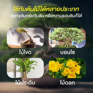 ปรับสภาพดินให้ร่วนซุย แก้ดินแข็ง ดินแน่น ฟื้นฟูดิน จุลินทรีย์บำรุงดิน อูเมะไลฟ์ บำรุงดิน 100 กรัม.