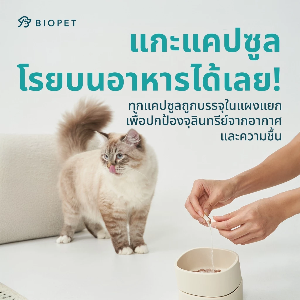 [CLEARANCE ลด 50%] PetGard โพรไบโอติกของสัตว์เลี้ยง สูตรผิวหนัง บำรุงขน Medical Grade Probiotic thumbnail 6