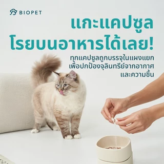 PetReno โพรไบโอติกของสัตว์เลี้ยง สูตรไต Medical Grade Probiotic
