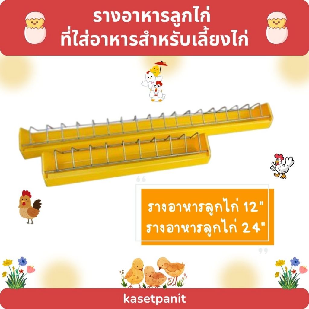รางอาหารลูกไก่ ที่ใส่อาหารสำหรับเลี้ยงไก่