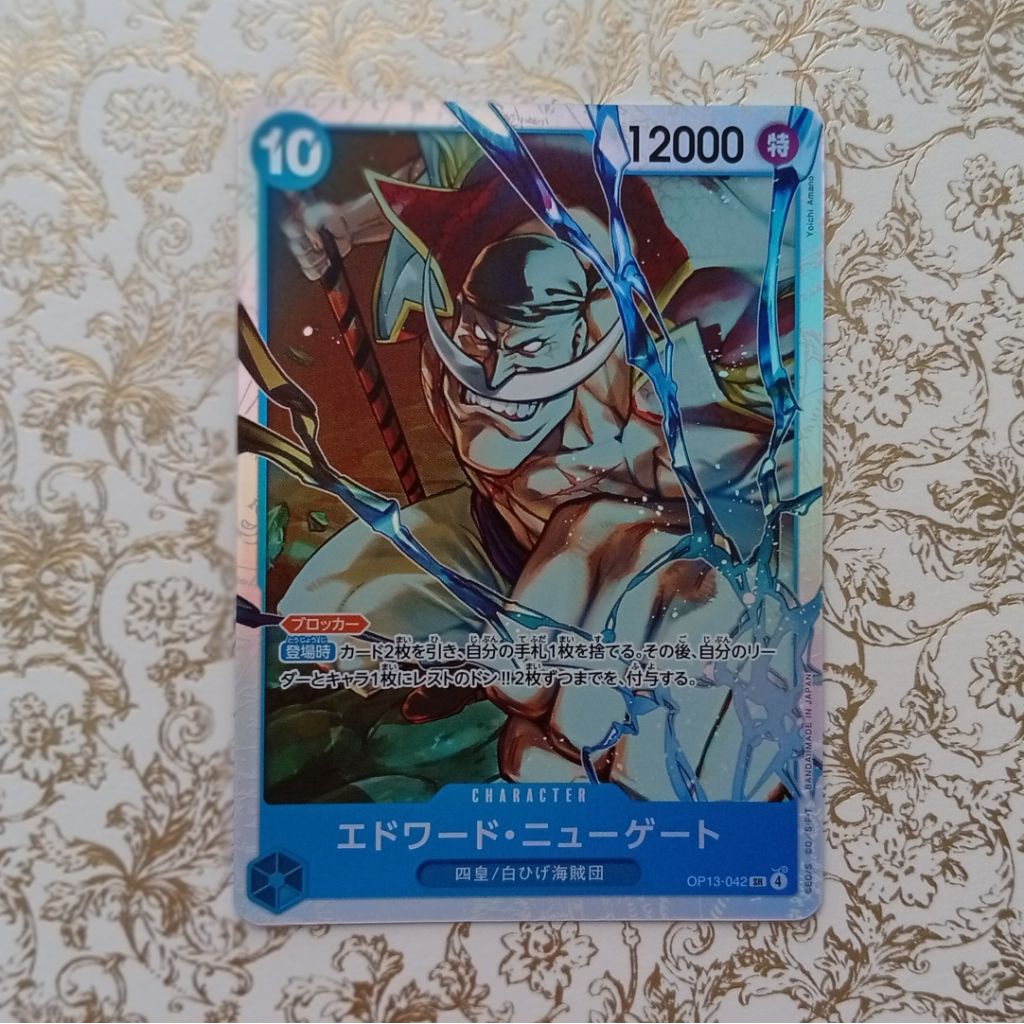 ONE PIECE CARRYING ON HIS WILL [Op13-042]SR