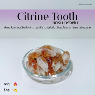 (พร้อมส่ง) หินผลึก Tooth Citrine (ซิทริน ทรงฟัน) หินแห่งพ่อค…