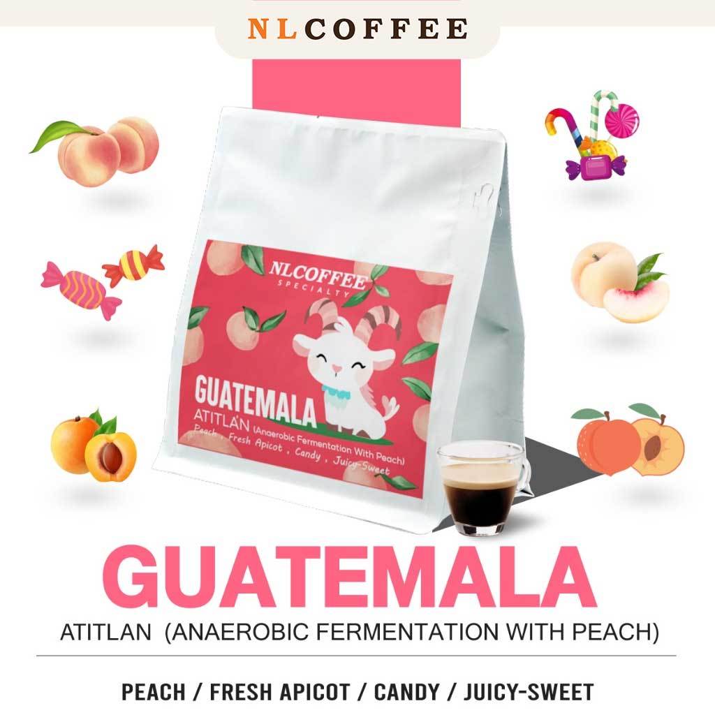 NLCOFFEE กาแฟ Guatemala : Atitlan (Anerobic fermentation with Peach)