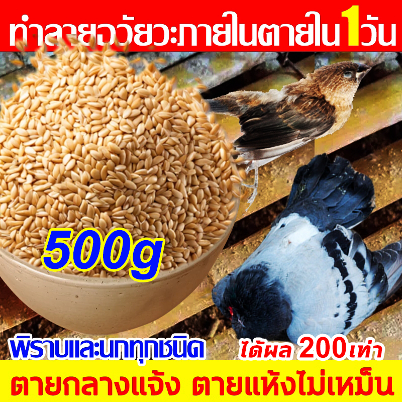 [บอกลาขี้นกที่กวนใจ] นกพิราบ ยาเบื่อนก นำเข้าจากอเมริกาเหยื่อกำจัดนกวัน กันฝน กันแดด เหยื่อกำจัดนกพิราบ ยากำจัดนกพิราบ