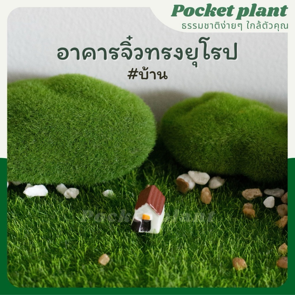 มุมมอง 4