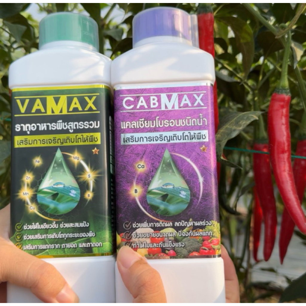 CABMAX VAMAX แคลเซียมโบรอน