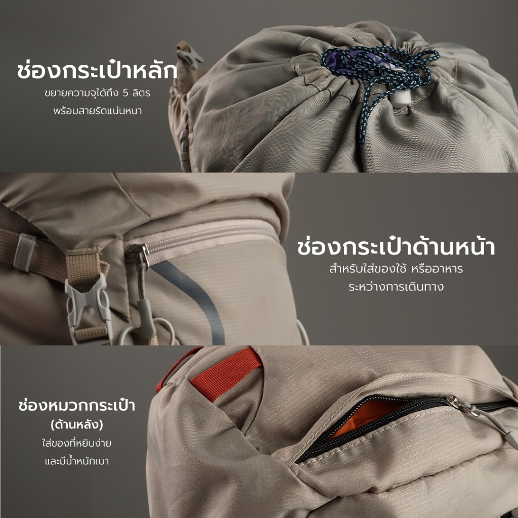 รูปภาพ 4