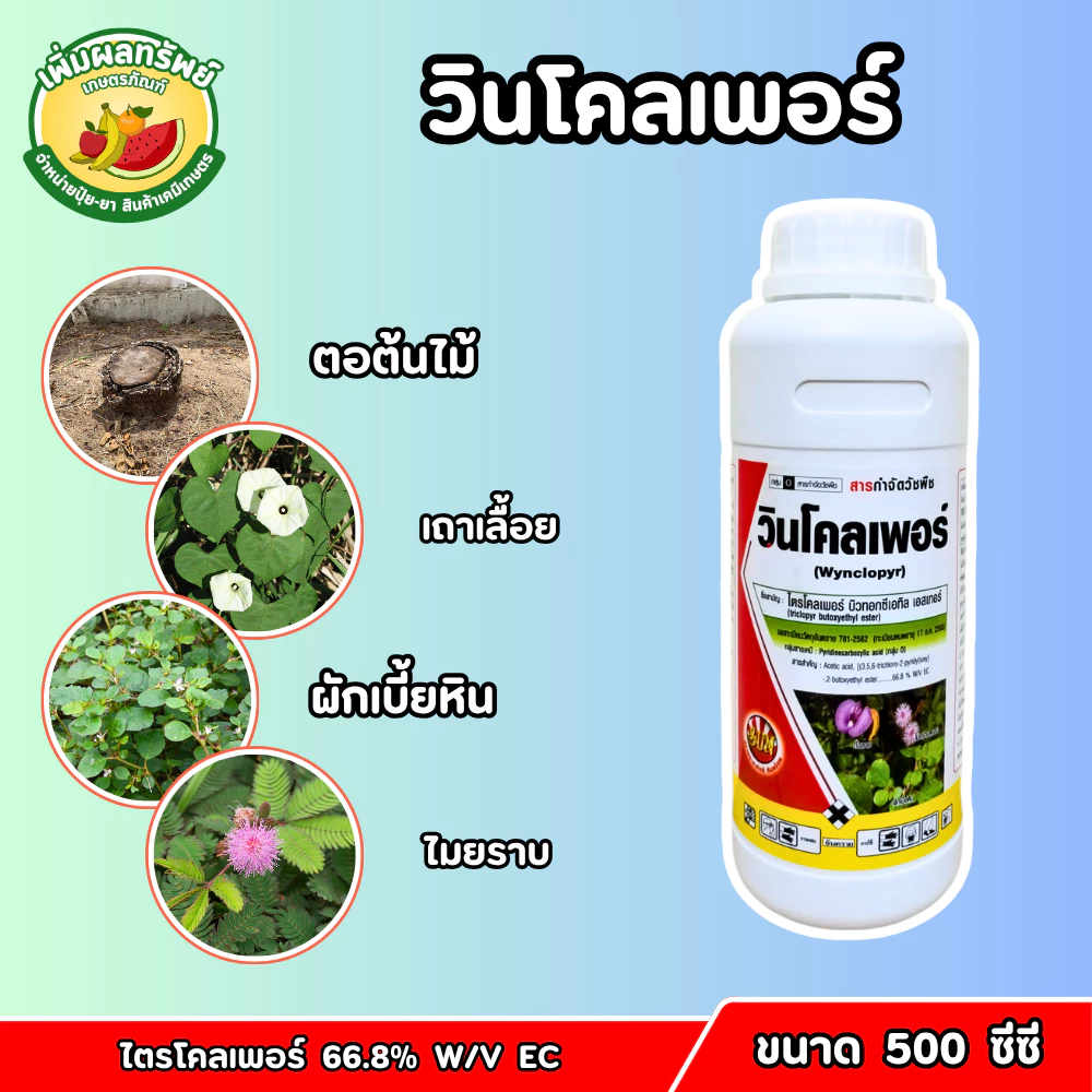 วินโคลเพอร์ (ไตรโคลเพอร์ 66.8% W/V EC) ขนาด 500 ซีซี ยาฆ่าตอไม้ กำจัดวัชพืชใบกว้าง เถาเลื้อย และ กก