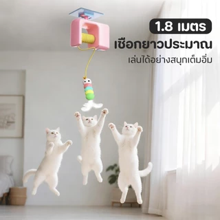 TUBIของเล่นแมวอัตโนมัติ หมุนเปลี่ยนทิศเองได้ 3 โหมด เล่นคนเดียวก็สุขใจ แบตเตอรี่ใช้งานนาน วัสดุทนกัดแทะ ปลอดภัยแน่นอน