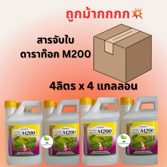 (เซต4แกลลอน) ดาราท๊อก M200 ตราหมาแดง สารจับใบ 4ลิตรx4แกลลอน
