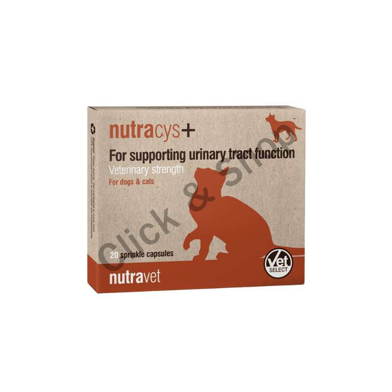 Nutracys+ นูทราซิส อาหารเสริมดูแลระบบทางเดินปัสสาวะสำหรับสุนัข และ แมว