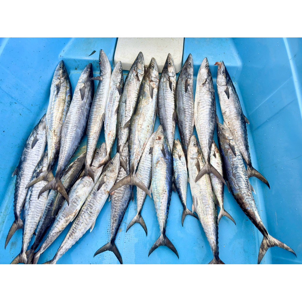 สลิงสแตนเลสช้างดำ 7x7 ถักแน่น  นุ่ม ไม่แตกง่าย - รูปที่ 7