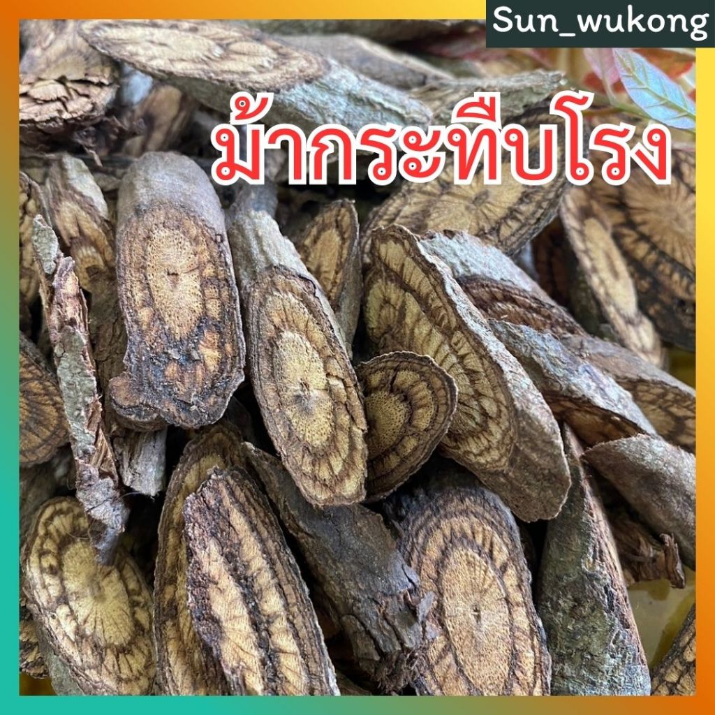 ม้ากระทืบโรง ม้ากระทืบโรงแผ่น สมุนไพรม้ากระทืบโรงอบแห้ง มีแบ่งขายหลายขนาด