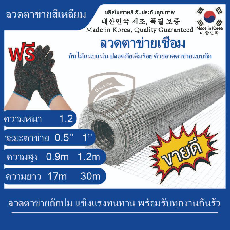 ลวดตาข่ายสี่เหลี่ยม ชุบกัลวาไนซ์ ขนาด 1/2 นิ้ว และ 1 นิ้ว ตาข่ายกรงไก่ ตาข่ายกรงนก ตะแกรงกรงไก่ G รั้วตาข่าย