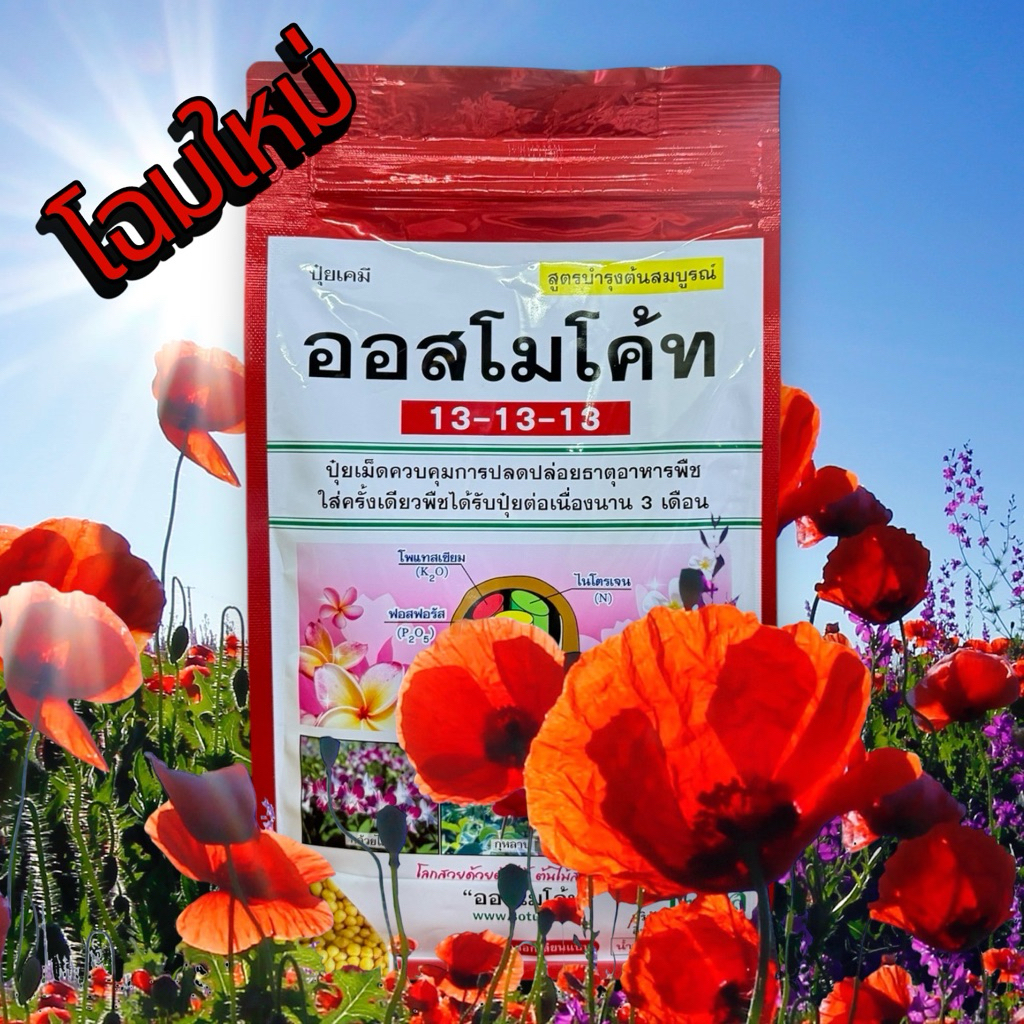ออสโมโค้ท สูตร13-13-13  1kg.