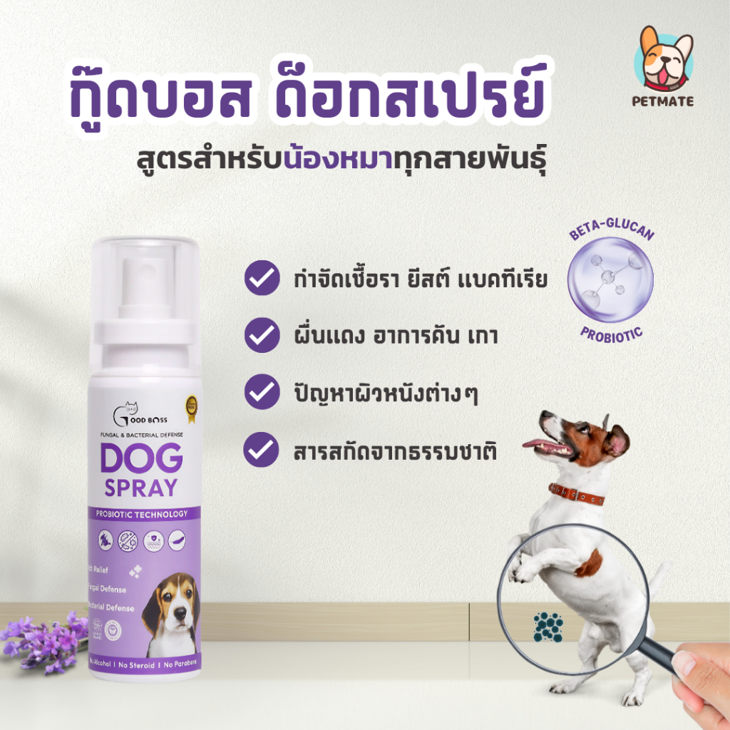 Goodboss Dog Spray สเปรย์สำหรับสุนัข ลดเชื้อรา ยีสต์ เเบคทีเรีย อาการคัน ขนร่วง สกัดจากธรรมชาติ