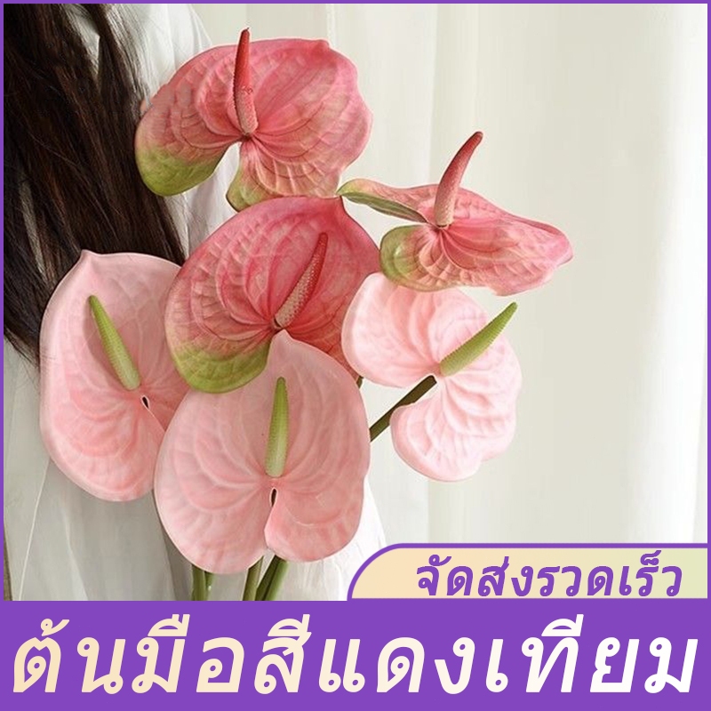 หน้าวัว Pu พลาสติก 3d สําหรับตกแต่งบ้าน ดอกไม้ปลอม สเหมือนจริง(มีหลายสี) ดอกไม้แต่งแจกัน(พร้อมส่ง) ( ดอกหน้าวัว )