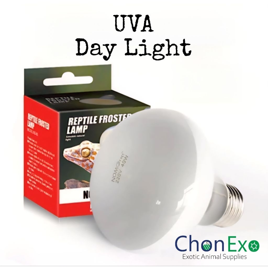 (พร้อมส่ง)หลอดไฟเลี้ยงสัตว์ UVA Day Light (หลอดไฟให้ความร้อนช่วงกลางวัน)