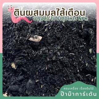 ดินใบก้ามปู เนื้อดินเยอะ ผสมใบก้ามปู มีทั้งถุงและแบ่งขาย