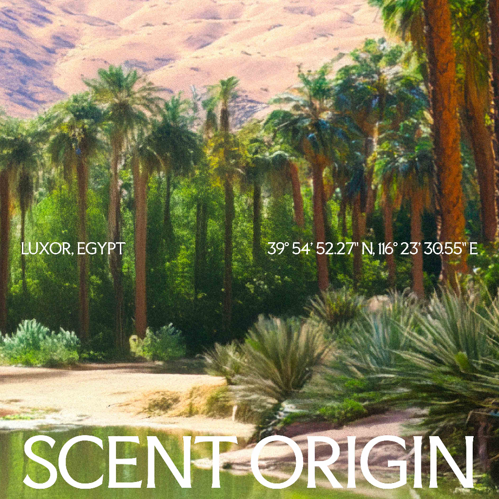 SCENTERY Babylon Papyrus Perfume EDP 35ml เซนเทอร์รี่ บาบีลอน พาไพรัส น้ำหอมเออ เดอ พาร์ - รูปที่ 4