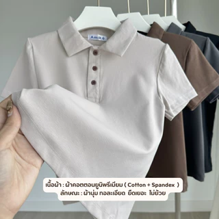 Polo Classic เสื้อยืดโปโลสีพื้น ผ้าคอตตอนยูนิ เกรดพรีเมียม (มี2ไซส์)