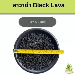 หินลาวาดำ (BLACK LAVA) 3กิโล 5กิโล