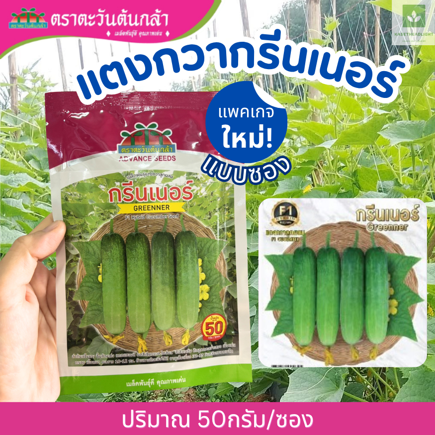 แพคเกจใหม่ แบบซอง! 50กรัม แตงกวากรีนเนอร์ เมล็ดแตงกวา เปลือกเขียว ตะวันต้นกล้า