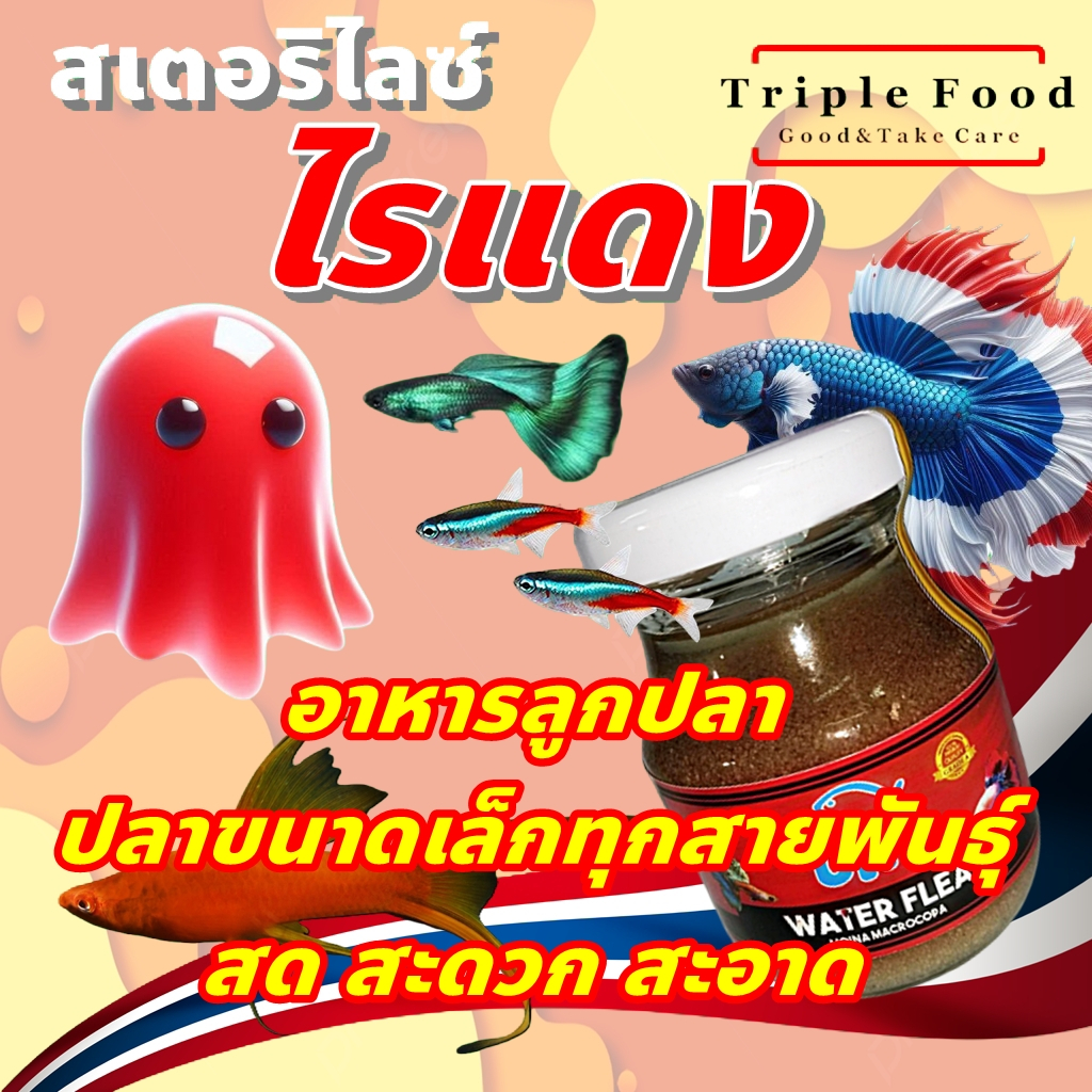 ไรแดง อาหารปลา UHT อาหารลูกปลา ปลากัด ปลาหางนกยูง ปลาสวยงาม ไรแดงสด ไลแดง ยังมี อาร์ทีเมีย ลูกน้ำ ไร