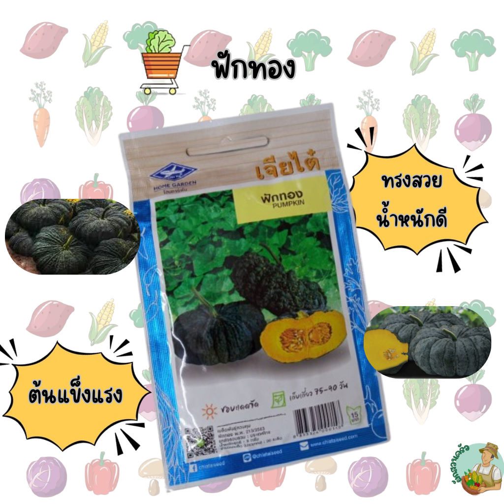 ฟักทอง CT/OP-069 ผักซอง เจียไต๋ เมล็ดพันธุ์ผัก เมล็ดผัก เมล็ดพืช ผักสวนครัว ประม