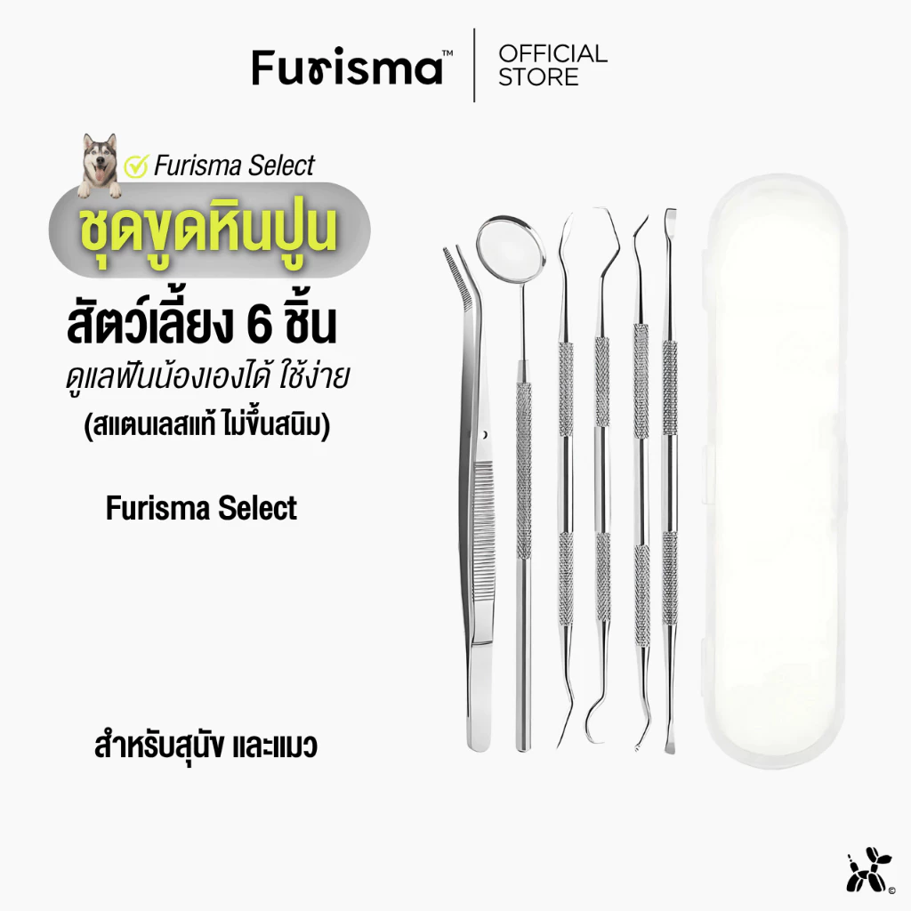ชุดเครื่องมือขูดหินปูน สุนัข แมว 6 ชิ้น สแตนเลสแท้ ไม่ขึ้นสนิม ใช้เองได้ ปลอดภัย รุ่นเดียวกับคลินิก