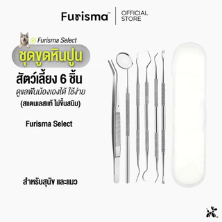 ชุดเครื่องมือขูดหินปูน สุนัข แมว 6 ชิ้น สแตนเลสแท้ ไม่ขึ้นสนิม ใช้เองได้ ปลอดภัย รุ่นเดียวกับคลินิก