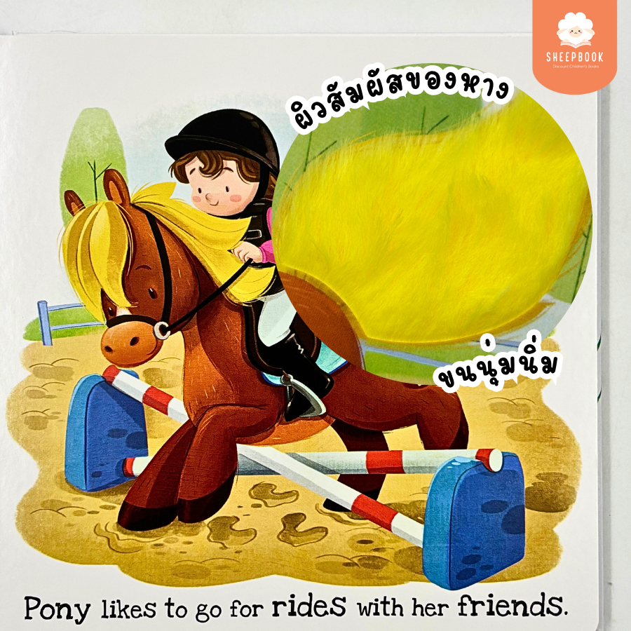 บอร์ดบุ๊คผิวสัมผัส What Does Pony Like? กระดาษแข็งทุกหน้า G1B1 - รูปที่ 5