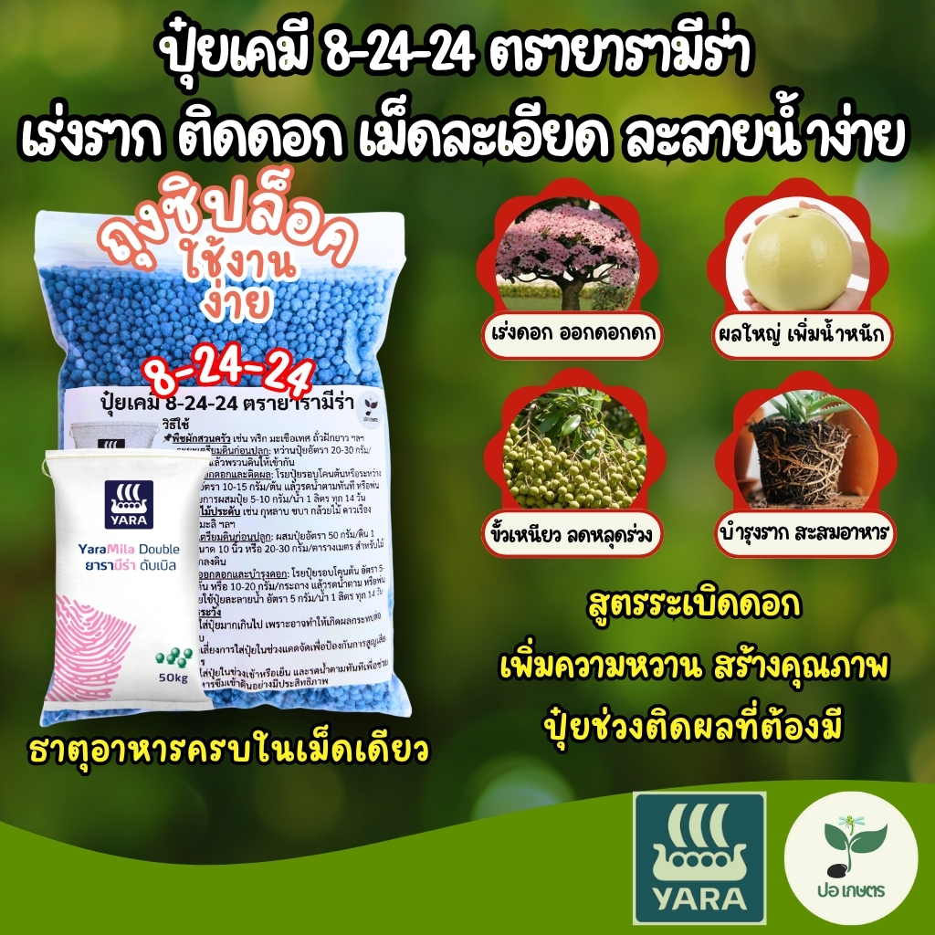 ปุ๋ยเคมี 8-24-24 (500 กรัม) ตรายารามีร่า เร่งราก ติดดอก เม็ดละเอียด ละลายน้ำง่าย ลดการหลุดร่วงของดอกและผล