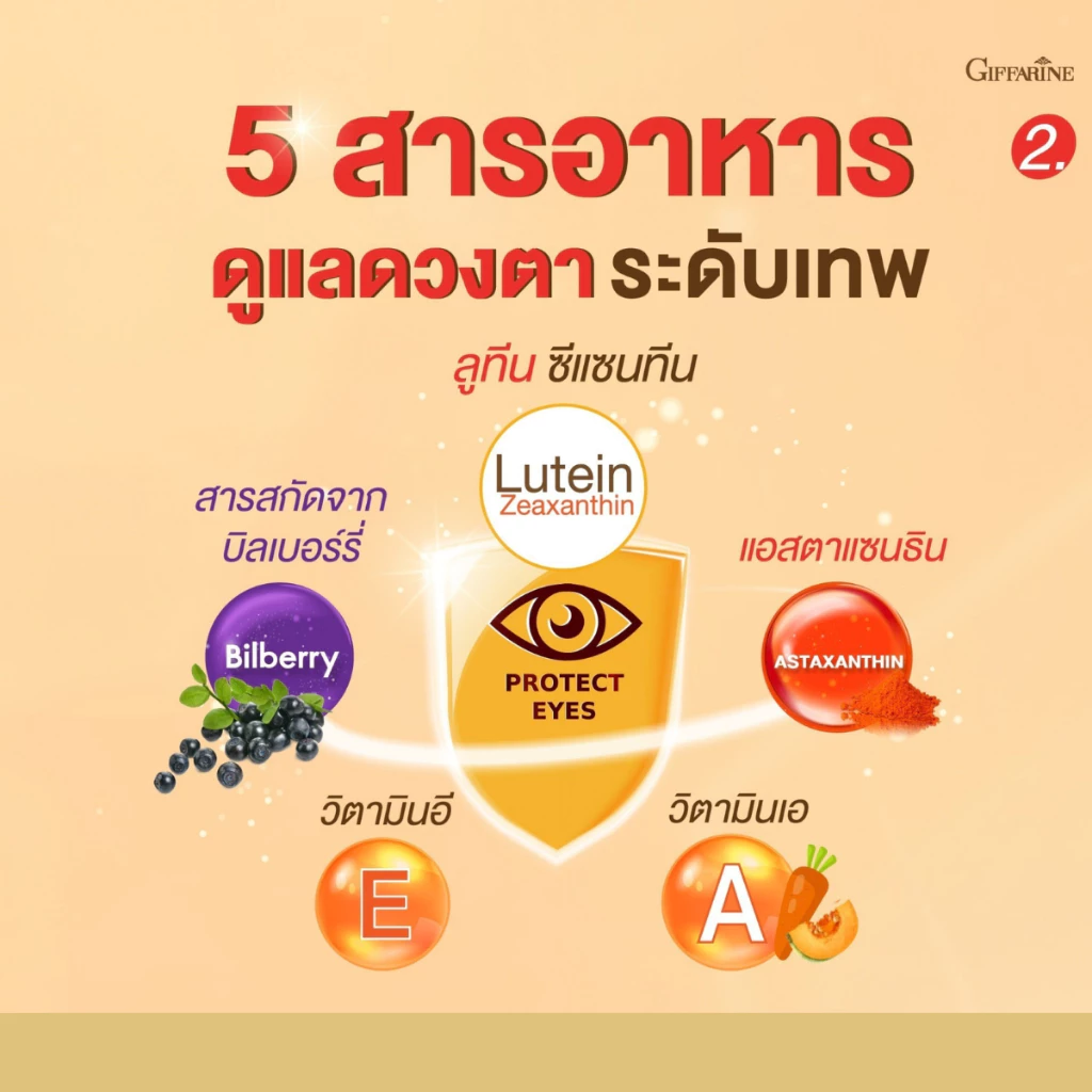 แอล ซี วิต 3 เอกซ์ กิฟฟารีน วิตามินบำรุงสายตา อาหารเสริมดวงตา ลูทีน ซีแซนทีน วิตามินเอ ตาพร่ามัว thumbnail 6