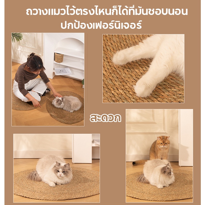 แผ่นลับเล็บแมว 3In1🌿มีหญ้าแมว ถักทอจากหวาย  พรมแมว ของเล่นแมว ที่นอนแมว กันข่วน วงกลมพรมลับเล็บแมว - รูปที่ 4