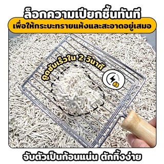 Petcho (ยกลัง 2 ถุง) ทรายแมวเต้าหู้ Plant-based ซับปัสสาวะได้ทันที จับตัวเป็นก้อนแน่น ฝุ่นน้อย เป็นมิตรต่อสิ่งแวดล้อม
