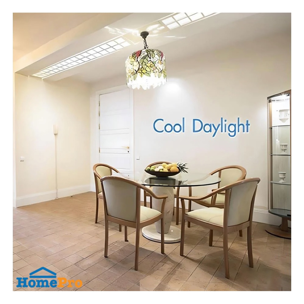 PHILIPS หลอด LED T8 SE HO 25 วัตต์ DAYLIGHT G13 จัดส่งโดย HomePro - รูปที่ 6