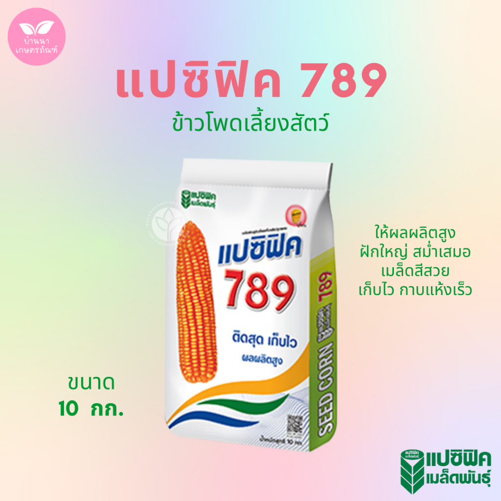 เมล็ดพันธุ์ข้าวโพด แปซิฟิค 789 ผลผลิตสูง ฝักใหญ่ ลำต้นและรากแข็งแรง