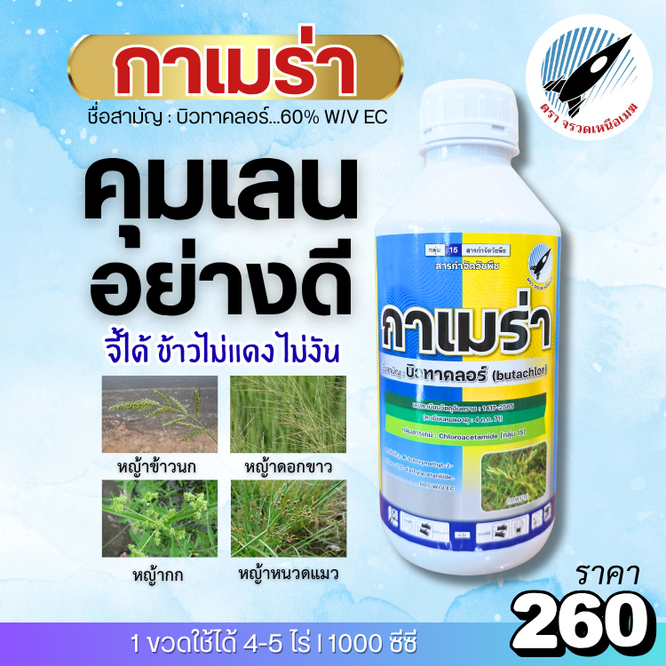 กาเมร่า (บิวทาคลอร์ 60%) คุมเลนอย่างดี! จี้ได้ไม่แดง ไม่งัน คุมหน้าดินก่อนวัชพืชงอก ฉีดหลังหว่าน 0-3 วัน : 1ลิตร