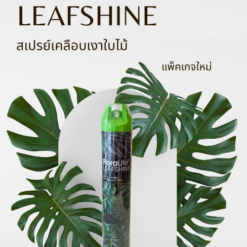 สเปรย์เคลือบเงาใบไม้ (leafshine) "249 B." ยี่ห้อ FloraLife ช่วยปกป้องใบ และลดการคายน้ำ